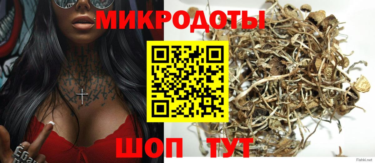 Рославль  Псилоцибиновые грибы прущие грибы  Вход с VPN 