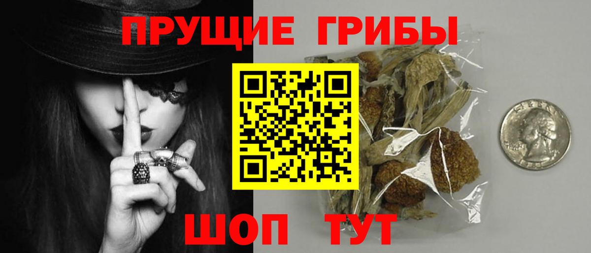 Псилоцибиновые грибы Psilocybine cubensis Рославль